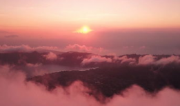 晴天视频,捕捉美好时光的瞬间